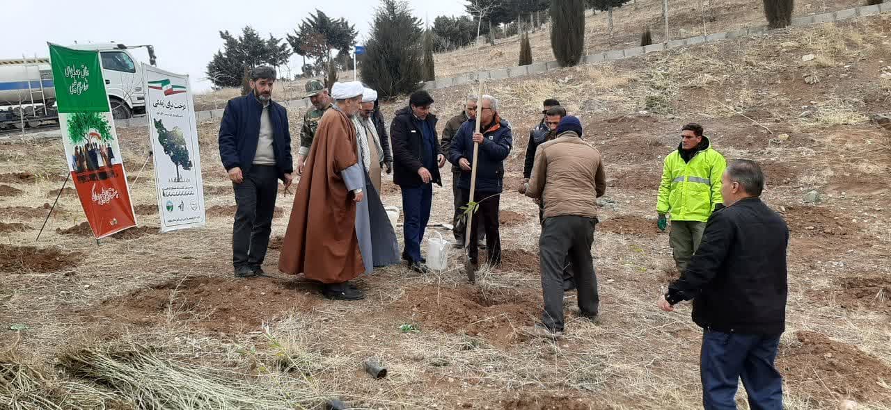 پویش نهال کاری   پویش نهال کاری