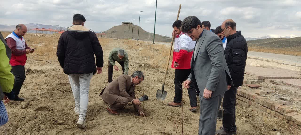 درختکاری در محوطه ارگ باستانی نوشیجان  درختکاری در محوطه ارگ باستانی نوشیجان