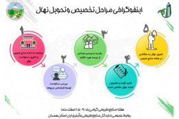 اینفوگرافیک