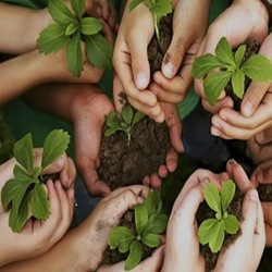 همیار طبیعت استان همدان**15126**نفر