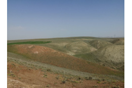 عکس‌های مرتع
