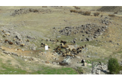 عکس‌های مرتع