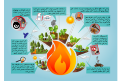پیشگیری از حریق در جنگل ها و مراتع