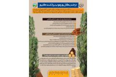 زراعت چوب (درخت بکاریم، چوب برداشت کنیم)