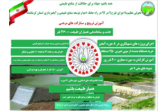 اینفوگرافیک