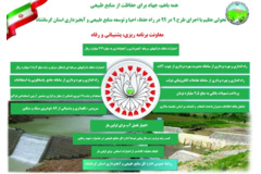 اینفوگرافیک