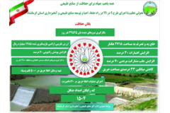 اینفوگرافیک