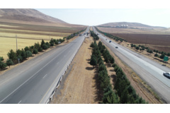 عکس‌های جنگل