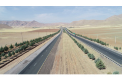 عکس‌های جنگل