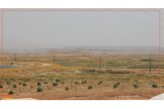 عکس‌های جنگل