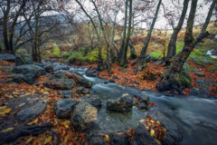  پارک جنگلی سراب فارسبان در پاییز