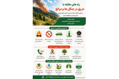  راه های مقابله با حریق در جنگل ها و مراتع 