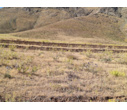 بررسی میدانی تصرف احتمالی اراضی ملی در روستای سلطان‌آباد ملایر