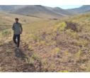 بررسی میدانی تصرف احتمالی اراضی ملی در روستای سلطان‌آباد ملایر