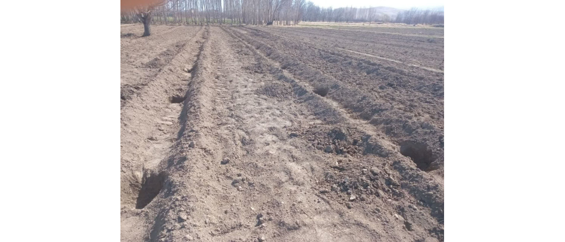 آماده سازی عرصه کاشت نهال با مشارکت دهیار و اهالی روستای دهنو سفلی نهاوند