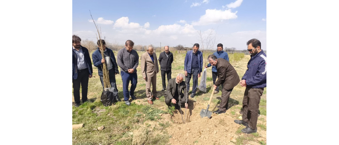 اجرای پویش کاشت نهال سرو ایران در شهرستان کبودرآهنگ