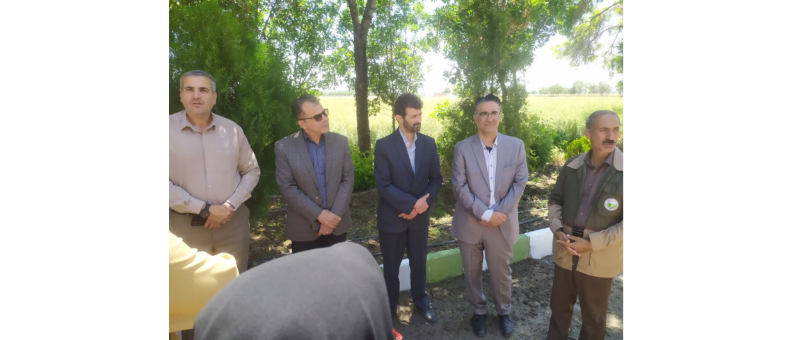 بازدید معاون و کارشناسان سازمان مدیریت و برنامه ریزی استان همدان از دستاورد ها و موفقیت‌های ایستگاه تولید بذر شهرستان بهار