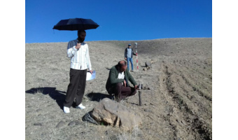 تحویل و تحول اراضی ملی در پلاک قلعه شیخ شهرستان تویسرکان جهت احداث نیروگاه خورشیدی