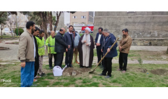 کاشت نهال در پارک ملت شهرستان اسدآباد