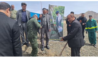 درختکاری فرماندار ویژه ملایر در روز طبیعت