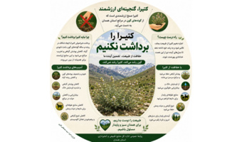 اینفوگرافی کتیرا،گنجینه ای ارزشمند