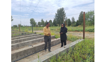 کارشناسان منابع طبیعی ملایر از نهالستان قدس بازدید کردند