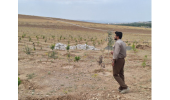 بررسی میدانی تخریب و تصرف احتمالی اراضی ملی در روستای ازناو ملایر