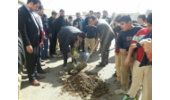 غرس300 نهال به یاد 300شهید شهرستان فامنین در روز درختکاری