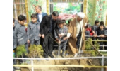 همزمان با آغاز هفته منابع طبیعی به یاد شهیدان مدافع حرم 2اصله نهال غرس شد
