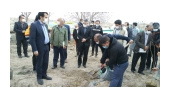 رونمائی از پروژه 225هکتاری بیابانزدائی درشهرستان کبودراهنگ 