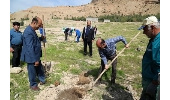 غرس 2هکتار نهالکاری با مشارکت ورزشکاران شهرستان درگزین 
