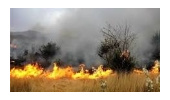 آتش سوزی دراراضی منابع طبیعی منطقه قلی آباد کبودراهنگ  به سرعت کنترل شد