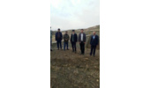 مدیرکل منابع طبیعی استان همدان ازپروژه های بیواوژیک طرحهای آبخیزداری شهرستان فامنین بازدید کرد