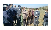 درختکاری در پارک جنگلی سد اکباتان در دومین روز هفته منابع طبیعی