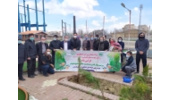  در اولین روز هفته منابع طبیعی چندین اصله نهال در زمین گلف شهر همدان کاشته شد
