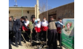 کاشت درخت صلح ودوستی بمناسبت هفته منابع طبیعی در خانه هلال دهلق ملایر