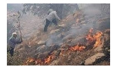 سوزاندن بقایای محصولات کشاورزی مجاور مراتع بدترین مجازات طبیعت است 