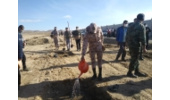پویش مردمی نهال کاری برای ایران سر سبز اقدام بزرگی است