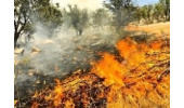 افزایش دما و بی احتیاطی عوامل انسان، تهدیدی جدی برای آتش سوزی مراتع وجنگلها