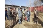 غرس بیش از 150 اصله نهال در هفته منابع طبیعی در کارخانه فیلتر سرکان شهرستان تویسرکان