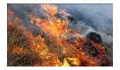تاکید مدیر کل منابع طبیعی وآبخیزداری استان همدان به حفاظت وپیشگیری از حریق درعرصه های منابع طبیعی 