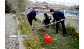 درختکاری بمناسبت هفته منابع طبیعی  در تپه عباس‌آباد همدان