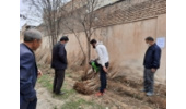  23 هزار اصله نهال در بین مردم اسد آباد توزیع می شود