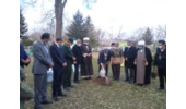  چند اصله نهال در صدا وسیمای مرکز همدان کاشته شد