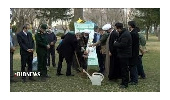 کاشت درخت یک امر مقدس وبا صواب است