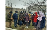 کاشت نهال توسط دانش آموزان همدانی در هفته منابع طبیعی وآبخیزداری