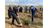 احداث بوستان روستائی  یک هکتاری درروستای طویلان سفلی  اسدآباد "هدف کاروان نیکو کاری در هفته منابع طبیعی 