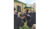 کاشت نهال در فرهنگسرای مهر همدان