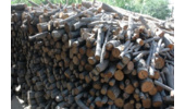 کشف 13 تن چوب قاچاق در شهرستان بهار 