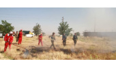 صد هکتار از مراتع اسدآباد طعمه آتش شد